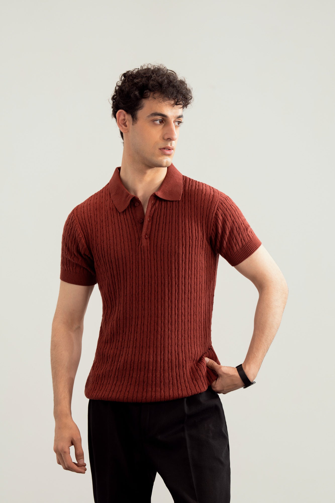 Dark Cherry Cable Knit Polo - Men